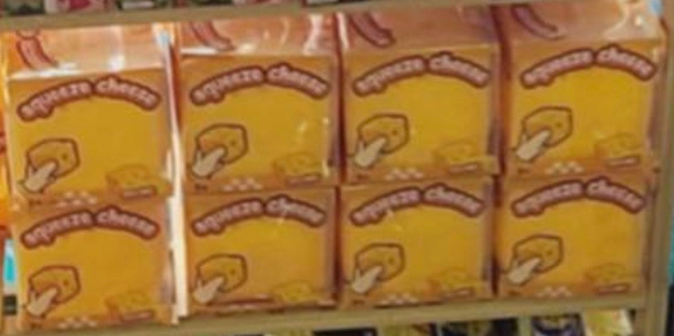 Jumbo Cheese Squishy